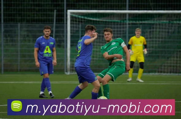 亚博体育APP 封面图